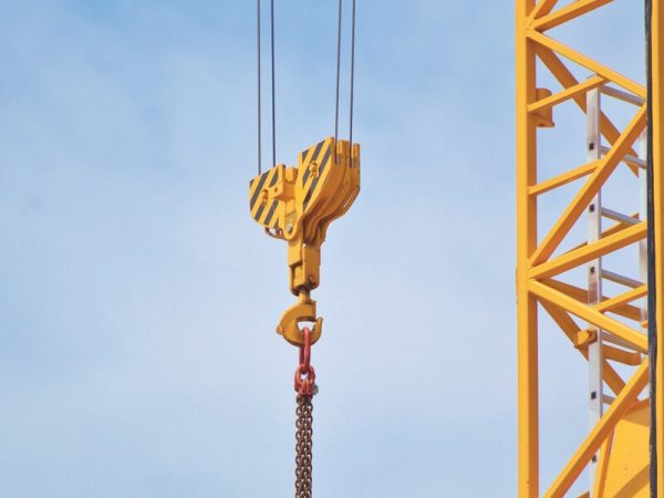 Shape the future of WordPress